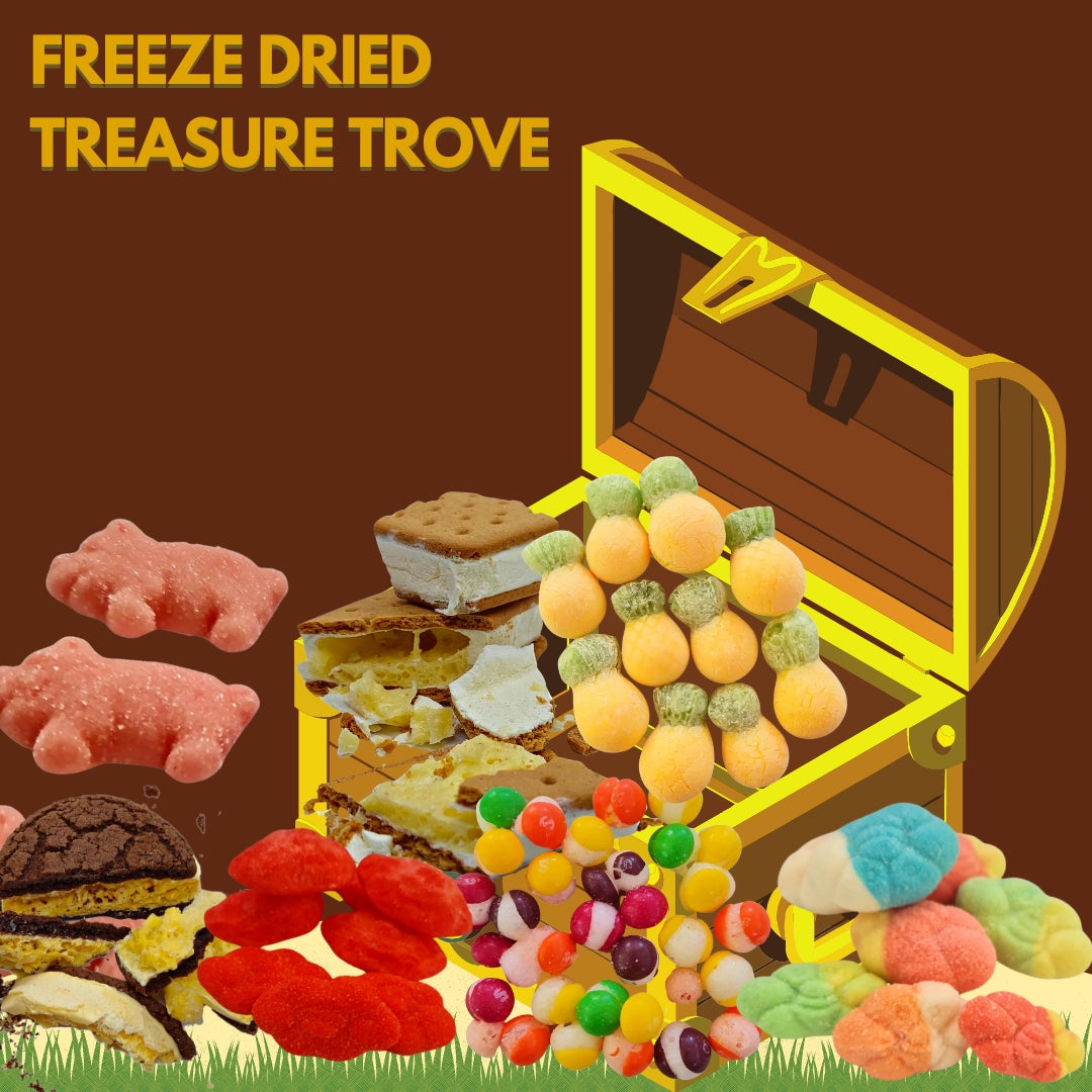 Mini Freeze-Dried Treasure Trove 🎁