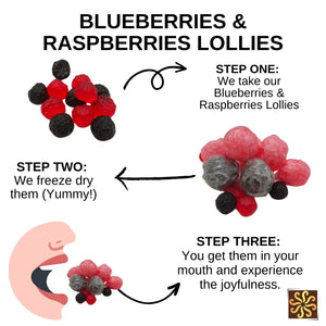Freeze Dried Blackberries and Raspberries Lollies