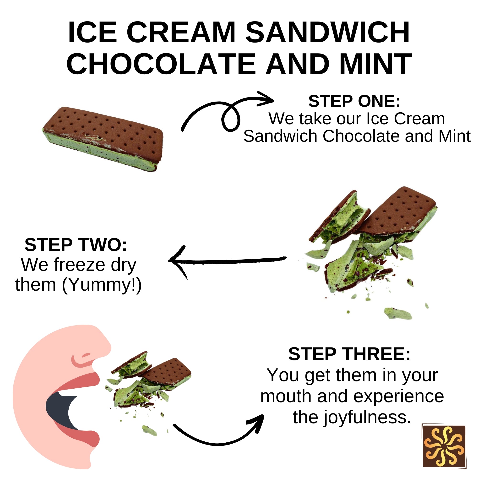 Freeze Dried Ice Cream Sandwich Chocolate and Mint