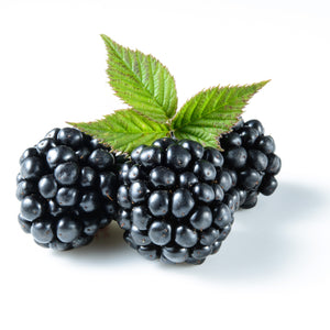 Freeze Dried Blackberries 45g