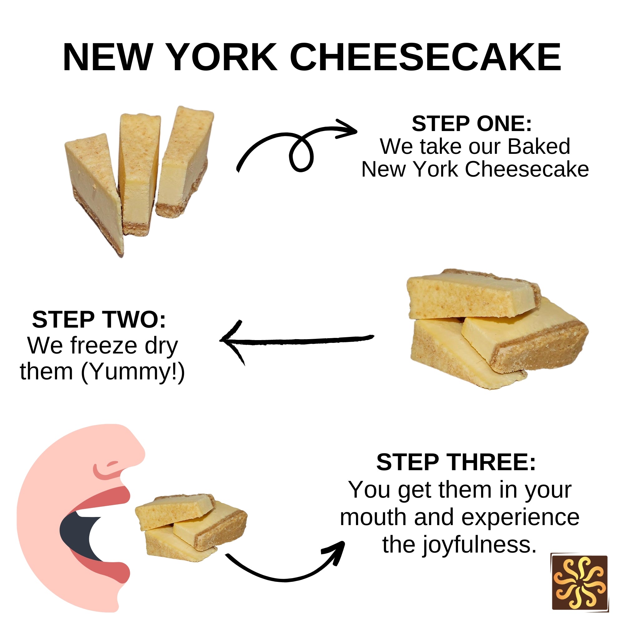 Freeze Dried Cheesecake New York Baked