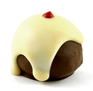 Mini Chocolate coated chocolate pudding Bulk 15/Box