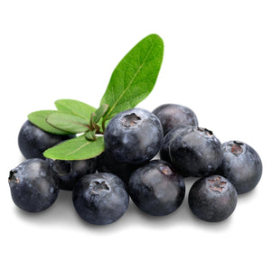 Freeze Dried Blueberries Whole 75g