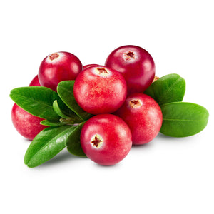 Freeze Dried Cranberries Whole 40g